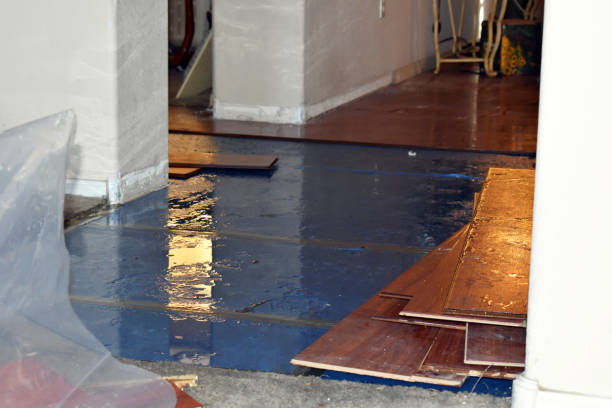 Professional Water Damage technician working in Newcastle, TX